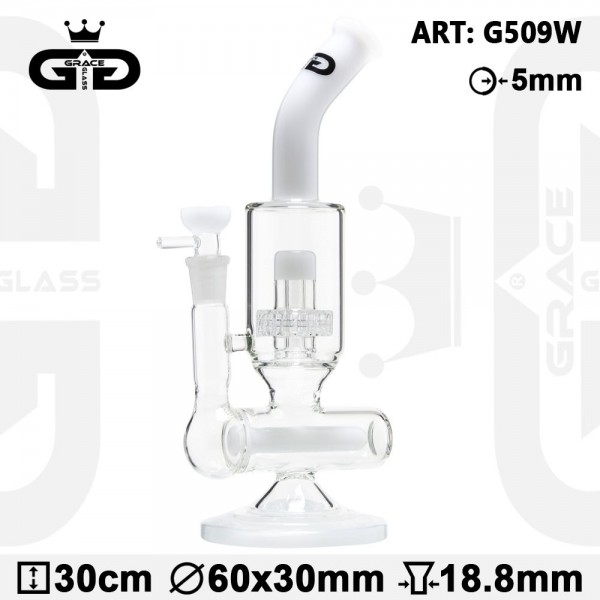 Grace Glass | LABZ Series | Matt White Nautilus